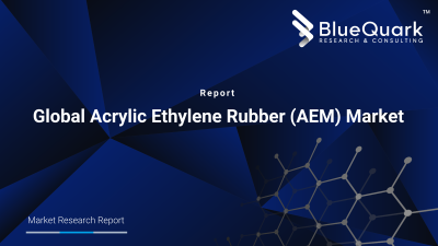 Global Acrylic Ethylene Rubber (AEM) Market Outlook to 2030