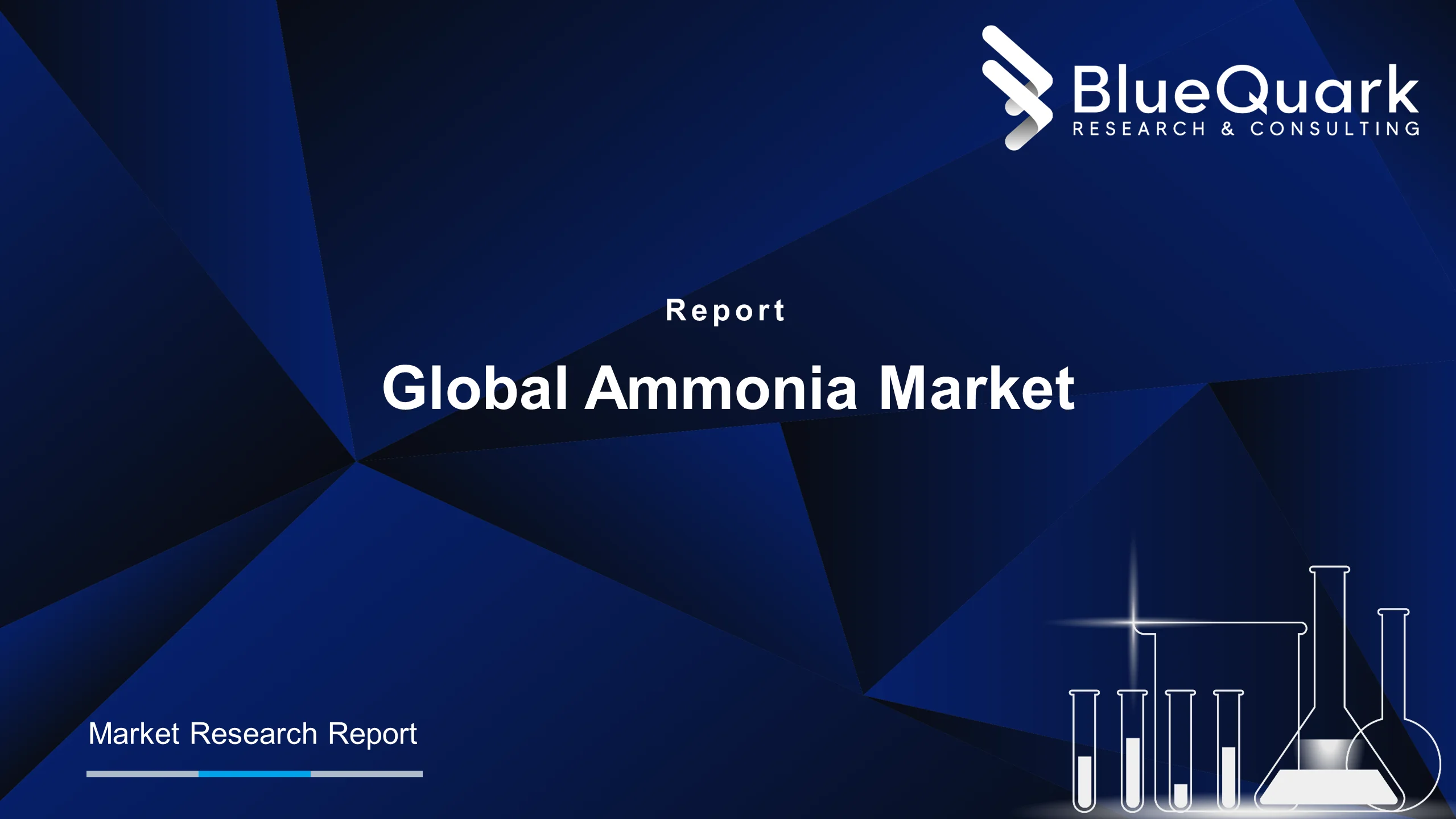 Global Ammonia Market Outlook to 2030