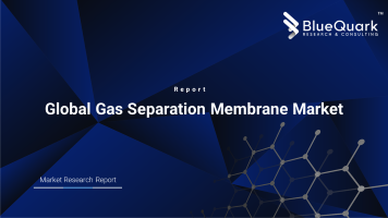 Global Gas Separation Membrane Market Outlook to 2030