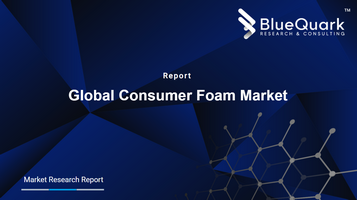 Global Consumer Foam Market Outlook to 2030