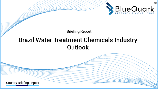 Brief Report on Water Treatment Chemicals Industry Outlook in Brazil from 2017 to 2030 - Market Size, Drivers, Restraints, and Key Company Profiles