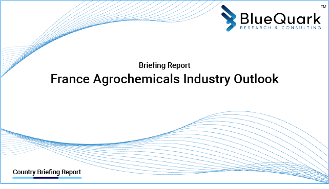 Brief Report on Agrochemicals Industry Outlook in France from 2017 to 2030 - Market Size, Drivers, Restraints, Trade, and Key Company Profiles