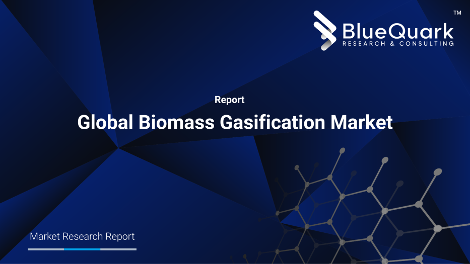 Global Biomass Gasification Market Outlook to 2030