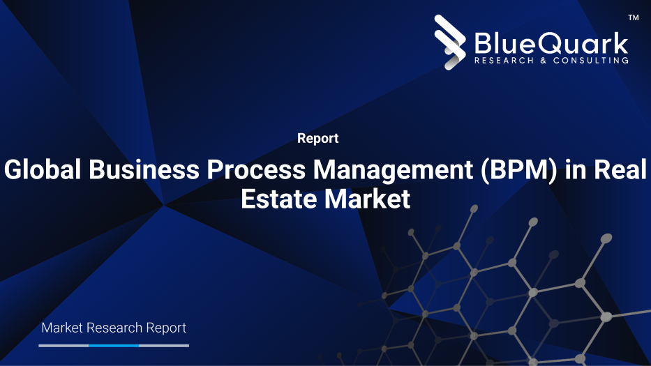 Global Business Process Management (BPM) in Real Estate Market Outlook to 2030