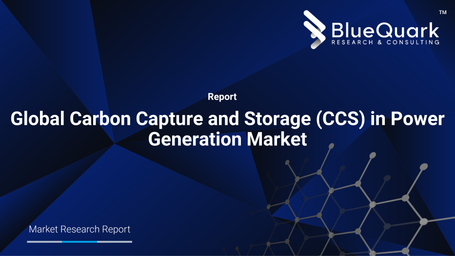 Global Carbon Capture and Storage (CCS) in Power Generation Market Outlook to 2030
