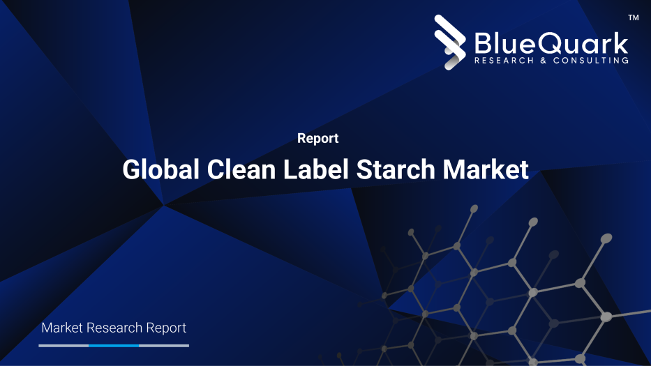 Global Clean Label Starch Market Outlook to 2030