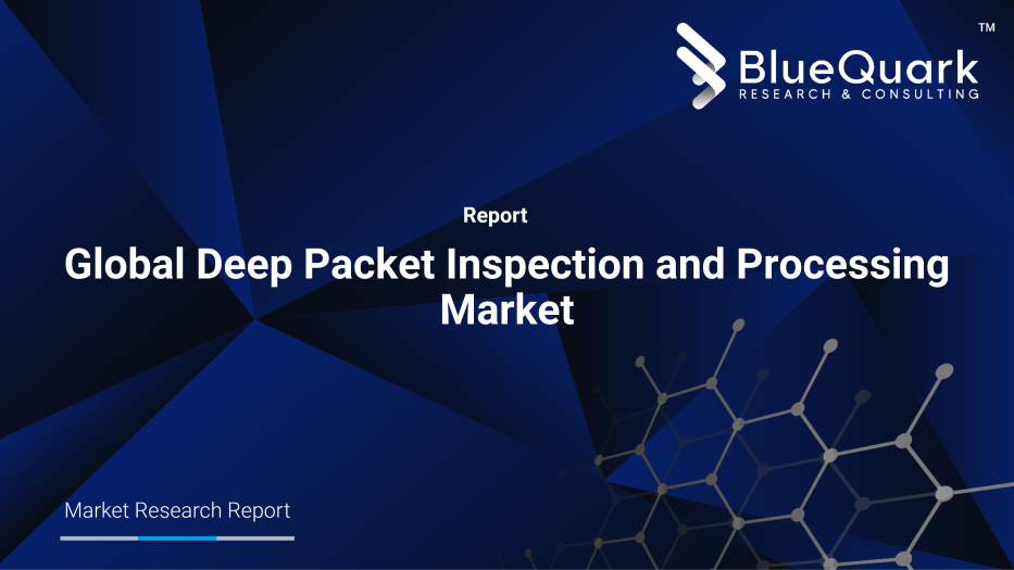Global Deep Packet Inspection and Processing Market Outlook to 2030