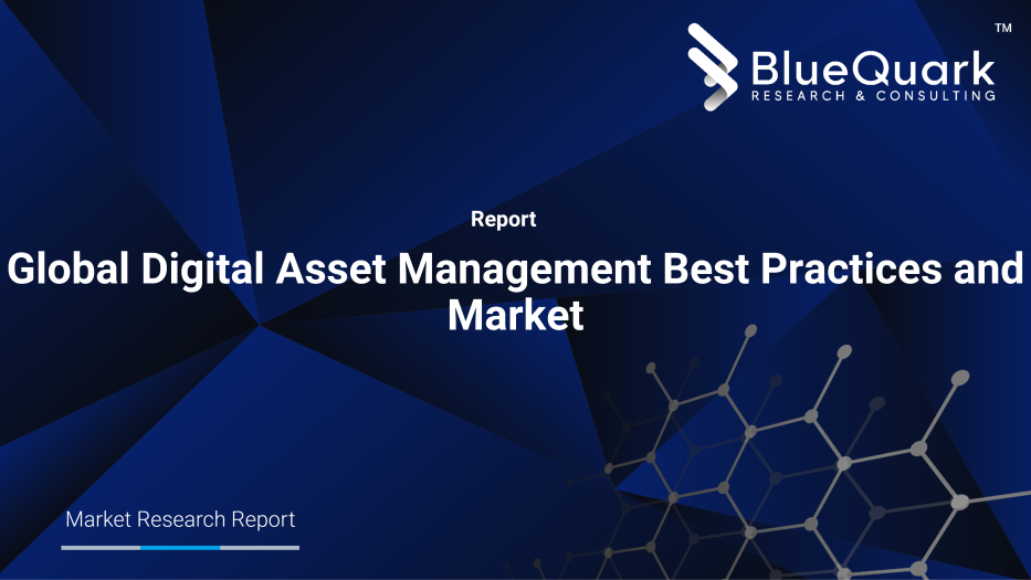 Global Digital Asset Management Best Practices and Market Outlook to 2030