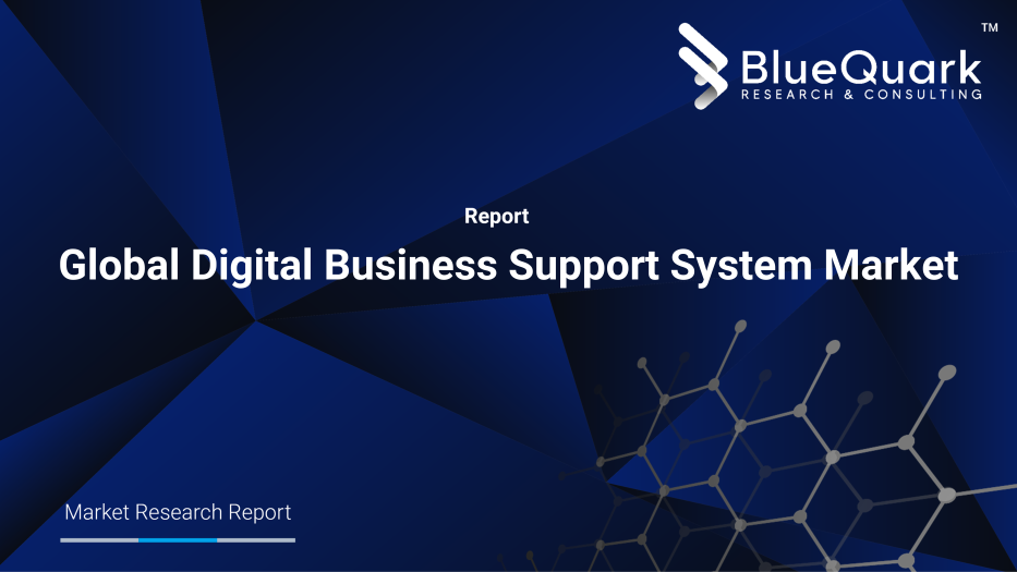 Global Digital Business Support System Market Outlook to 2030