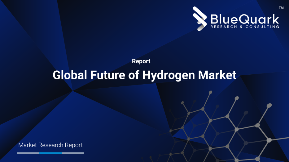 Global Future of Hydrogen Market Outlook to 2030