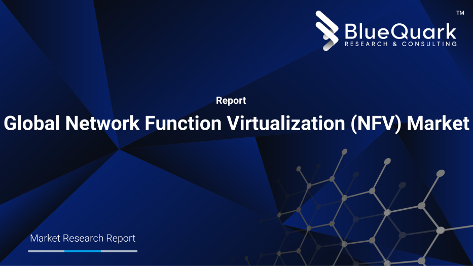 Global Network Function Virtualization (NFV) Market Outlook to 2030