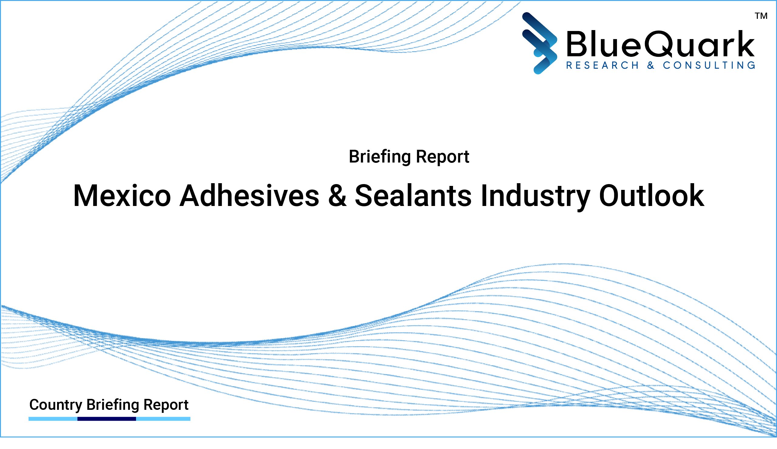 Brief Report on Adhesives & Sealants Industry Outlook in Mexico from 2017 to 2030 - Market Size, Drivers, Restraints, Trade, and Key Company Profiles