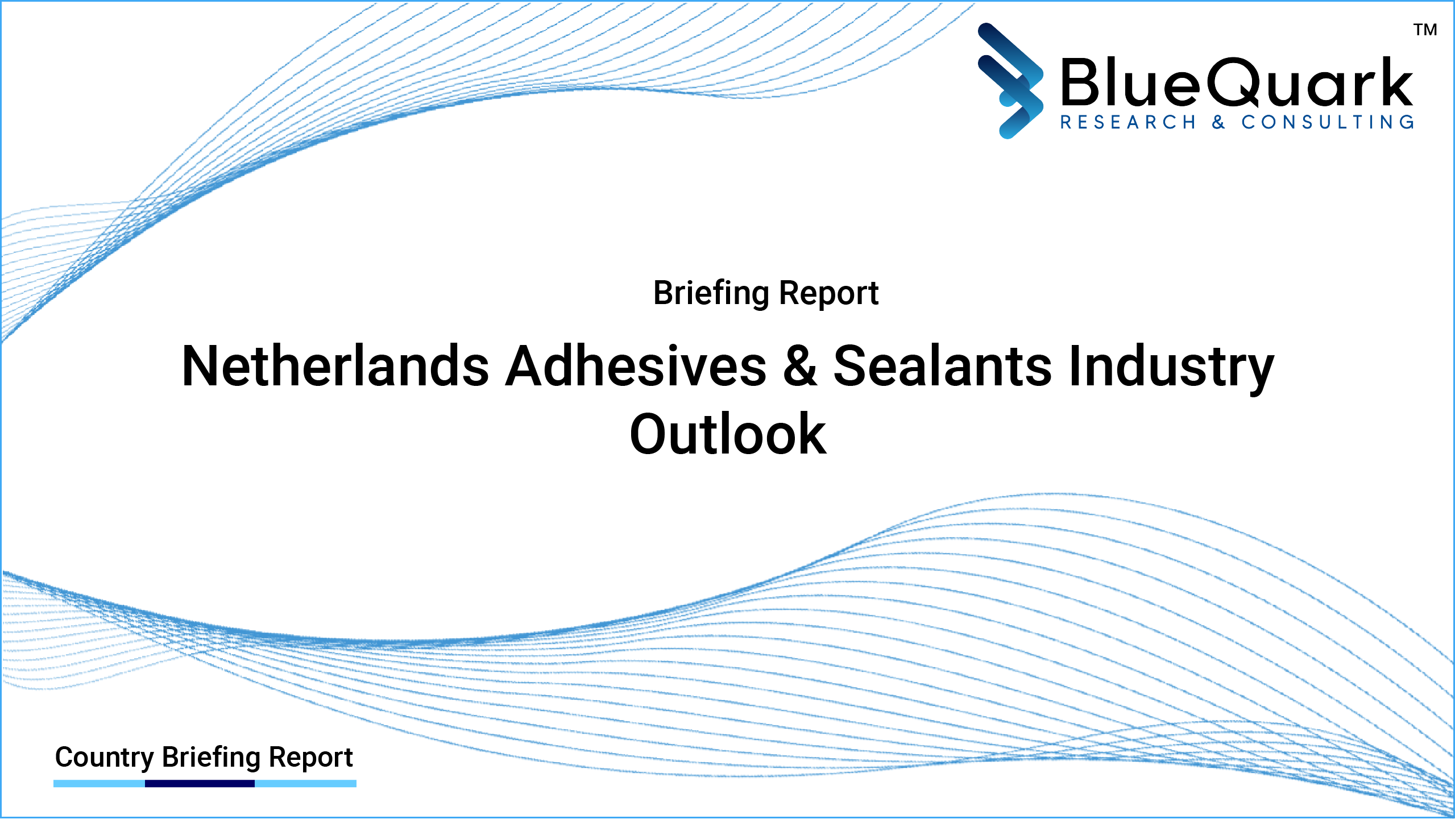 Brief Report on Adhesives & Sealants Industry Outlook in Netherlands from 2017 to 2030 - Market Size, Drivers, Restraints, Trade, and Key Company Profiles