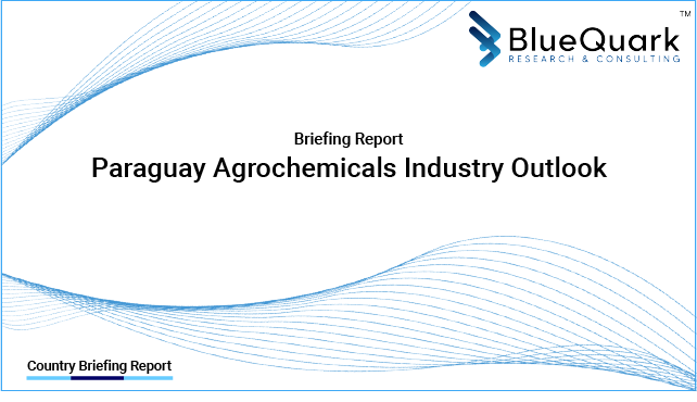 Brief Report on Agrochemicals Industry Outlook in Paraguay from 2017 to 2030 - Market Size, Drivers, Restraints, Trade, and Key Company Profiles