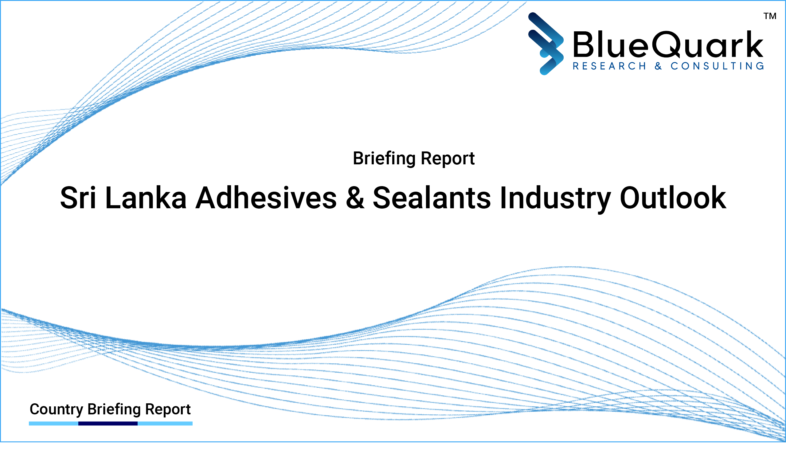 Brief Report on Adhesives & Sealants Industry Outlook in Sri Lanka from 2017 to 2030 - Market Size, Drivers, Restraints, Trade, and Key Company Profiles